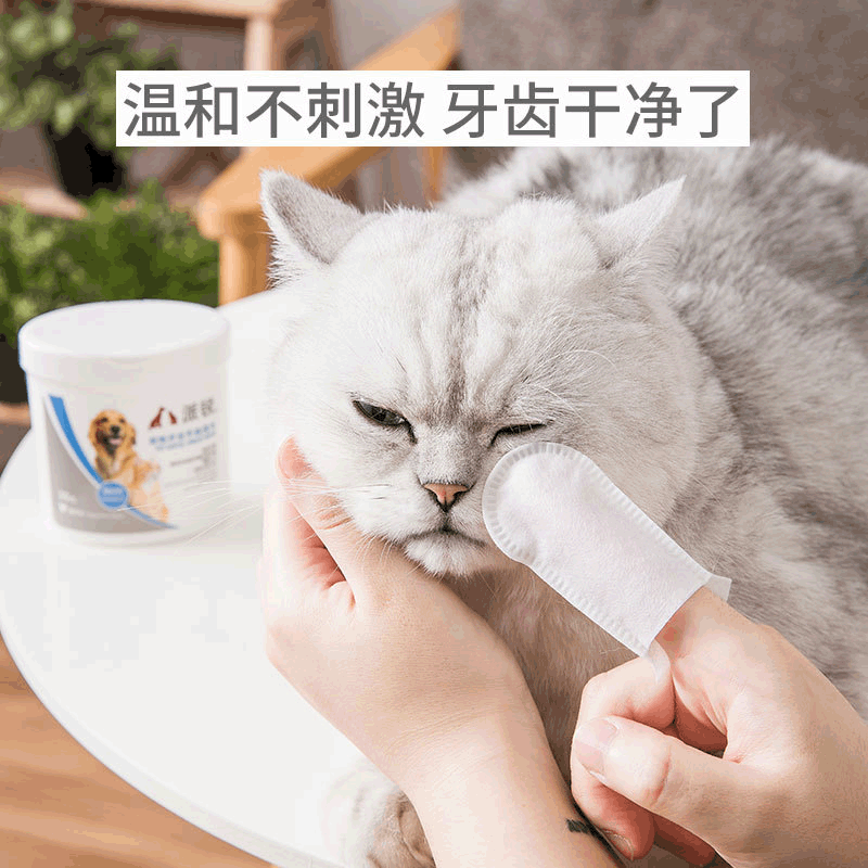 宠物牙齿湿巾 50pcs