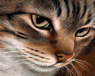 【DT143】神秘眼