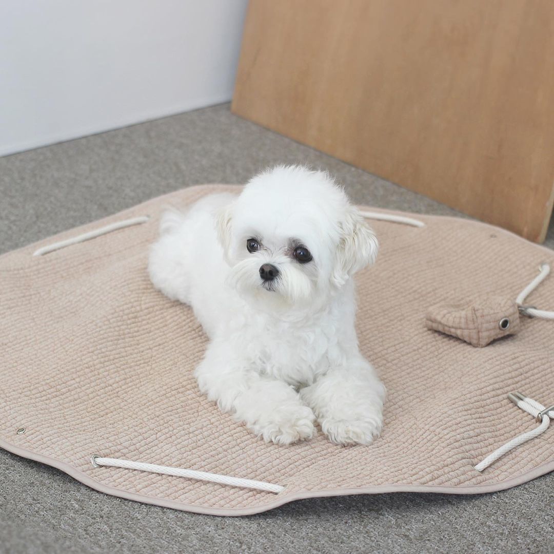 💟 Eyou💟 原創野餐墊包包