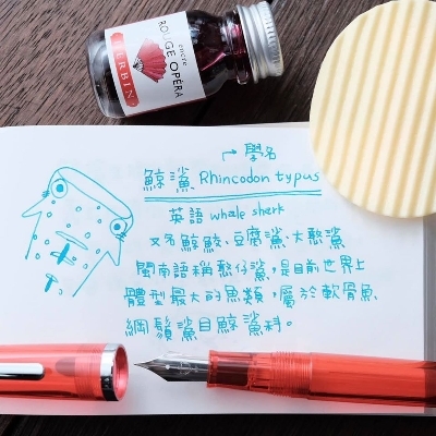 寫樂 junior MF (中細字) 西日本限定版鋼筆 日本 Sailor 特別色