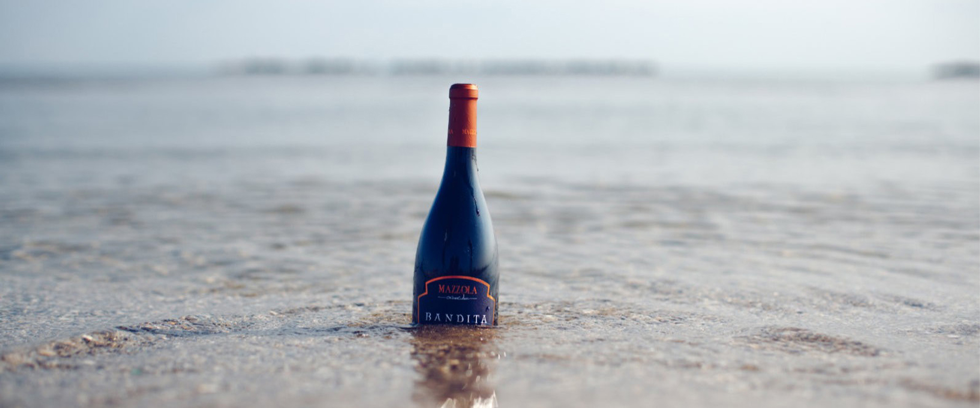 Cellar CANTINA MAZZOLA 01