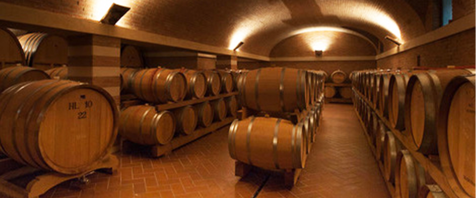 Cellar CORTE FIGARETTO 01