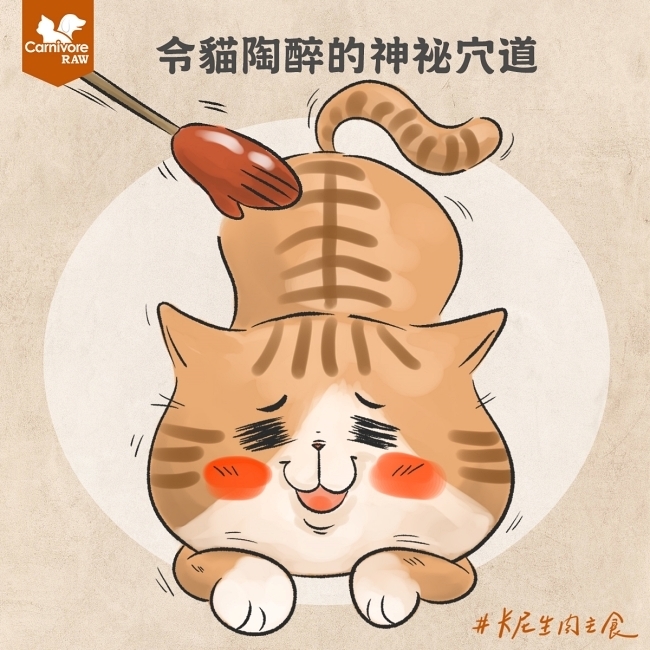 令貓陶醉的神秘穴道