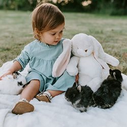 Bunnies By The Bay 大大兔