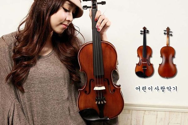 小提琴 JYVL-E800 中檔入門 小提琴 楓木/酒精刷漆