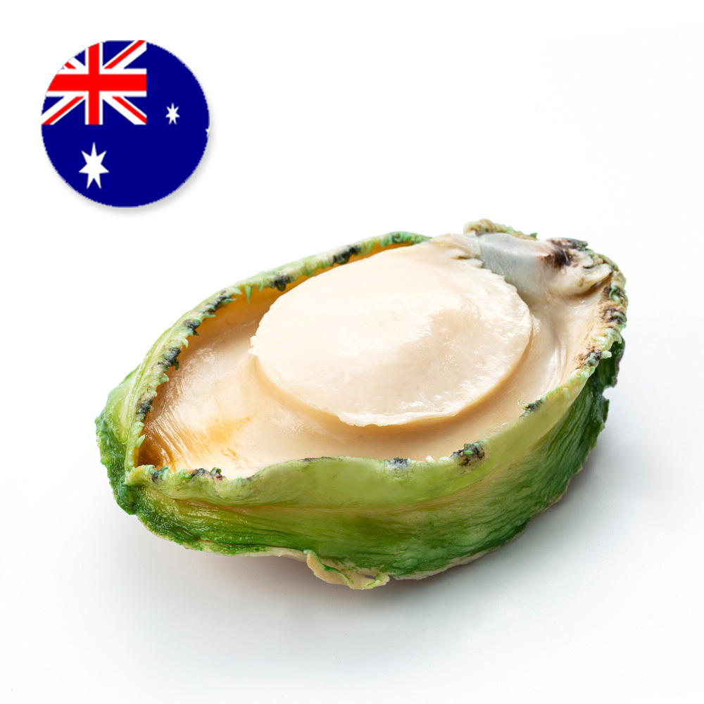 南澳洲青邊鮑魚(珍寶)(約380克)