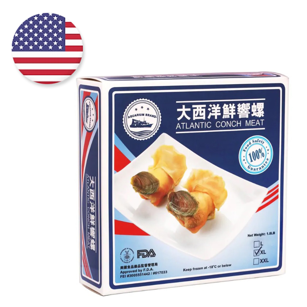 大西洋鮮響螺 (XL碼) 2磅裝