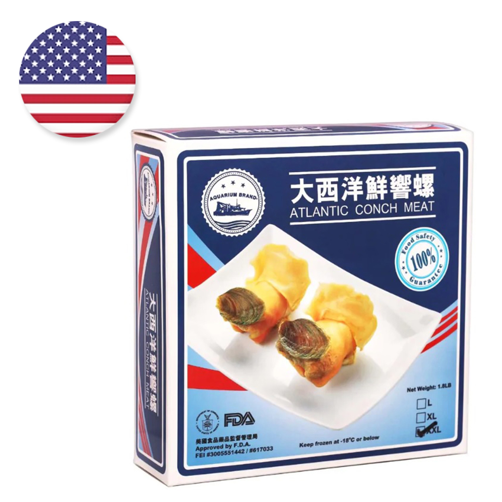大西洋鮮響螺 (XXL碼) 2磅裝