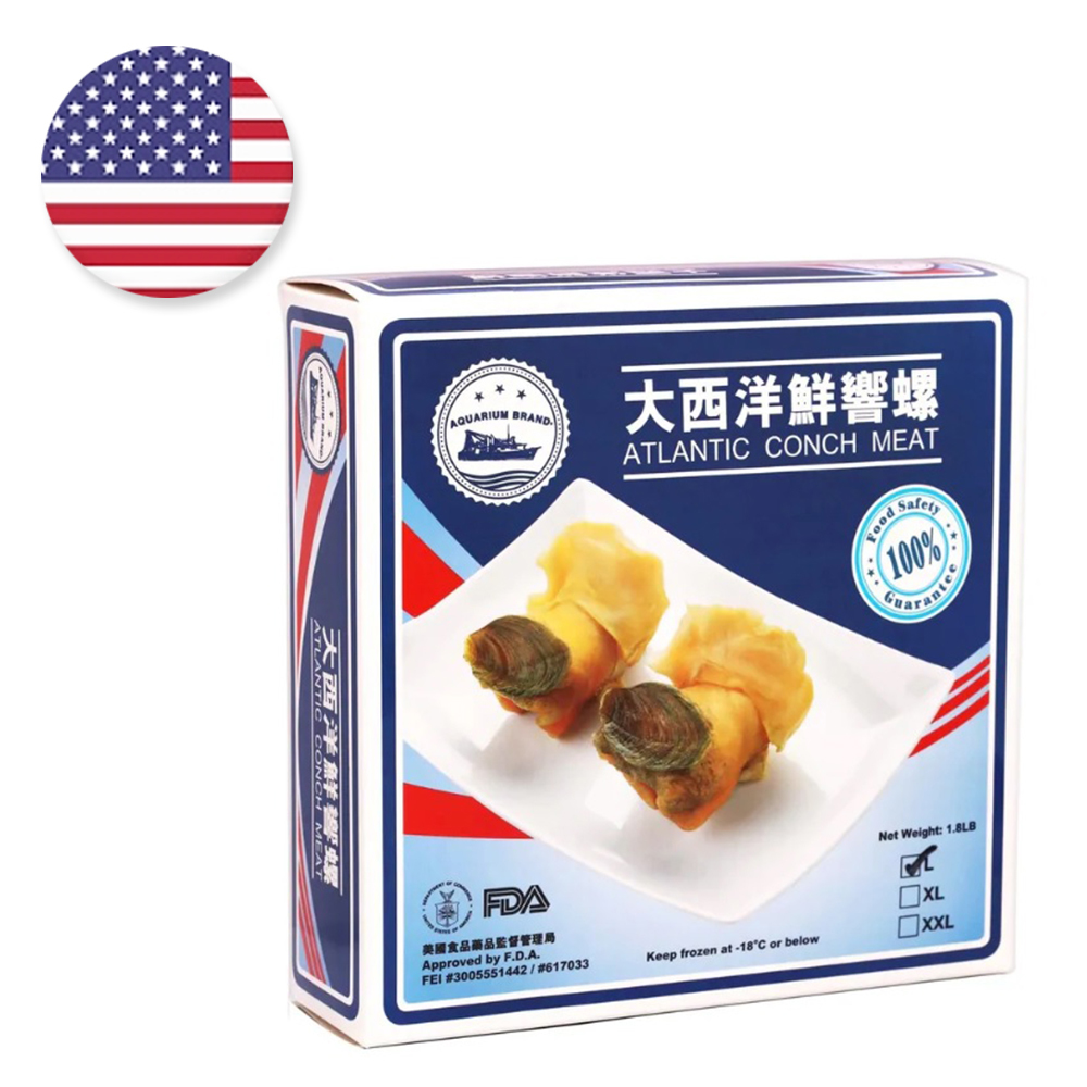 大西洋鮮響螺 (L碼) (2磅裝)