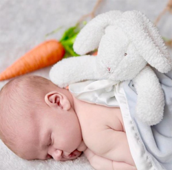 Bunnies By The Bay抱抱系列