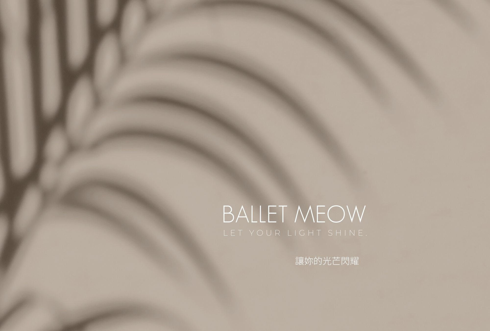 法式內衣bralette無襯墊內衣、薄襯內衣、蕾絲內衣性感內衣假領子 假領片 假領子 襯衫 假領子 蝦皮 假領子哪裡買 假領子 diy 假領子 穿搭 假領子 ptt 假領子 蝦皮