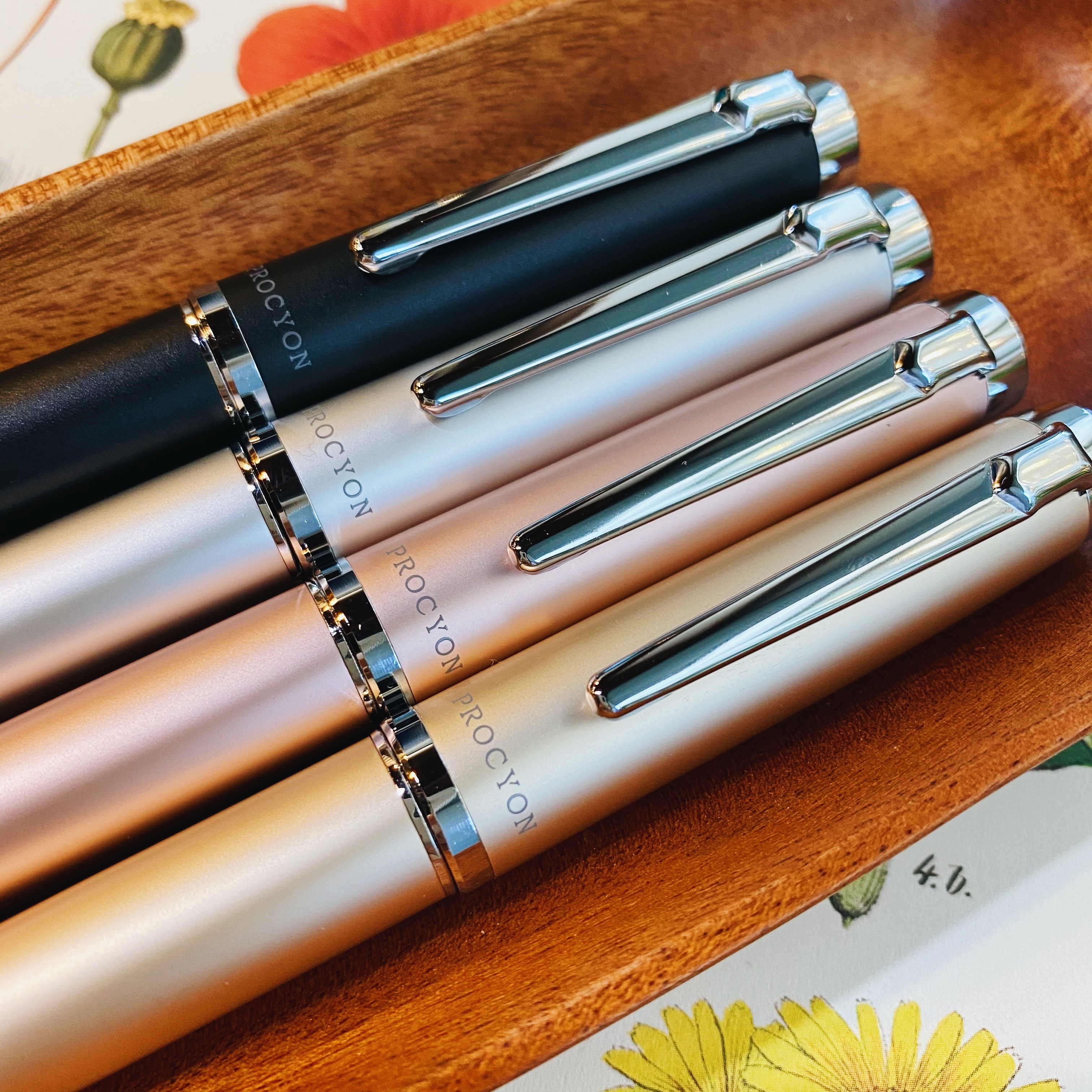 白金 PROCYON 南河三鋼筆（珠光新色）