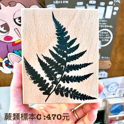吉．蕨類標本單顆印章 (B/C)
