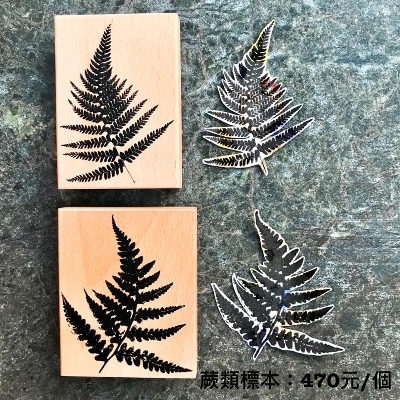 吉．蕨類標本單顆印章 (B/C)