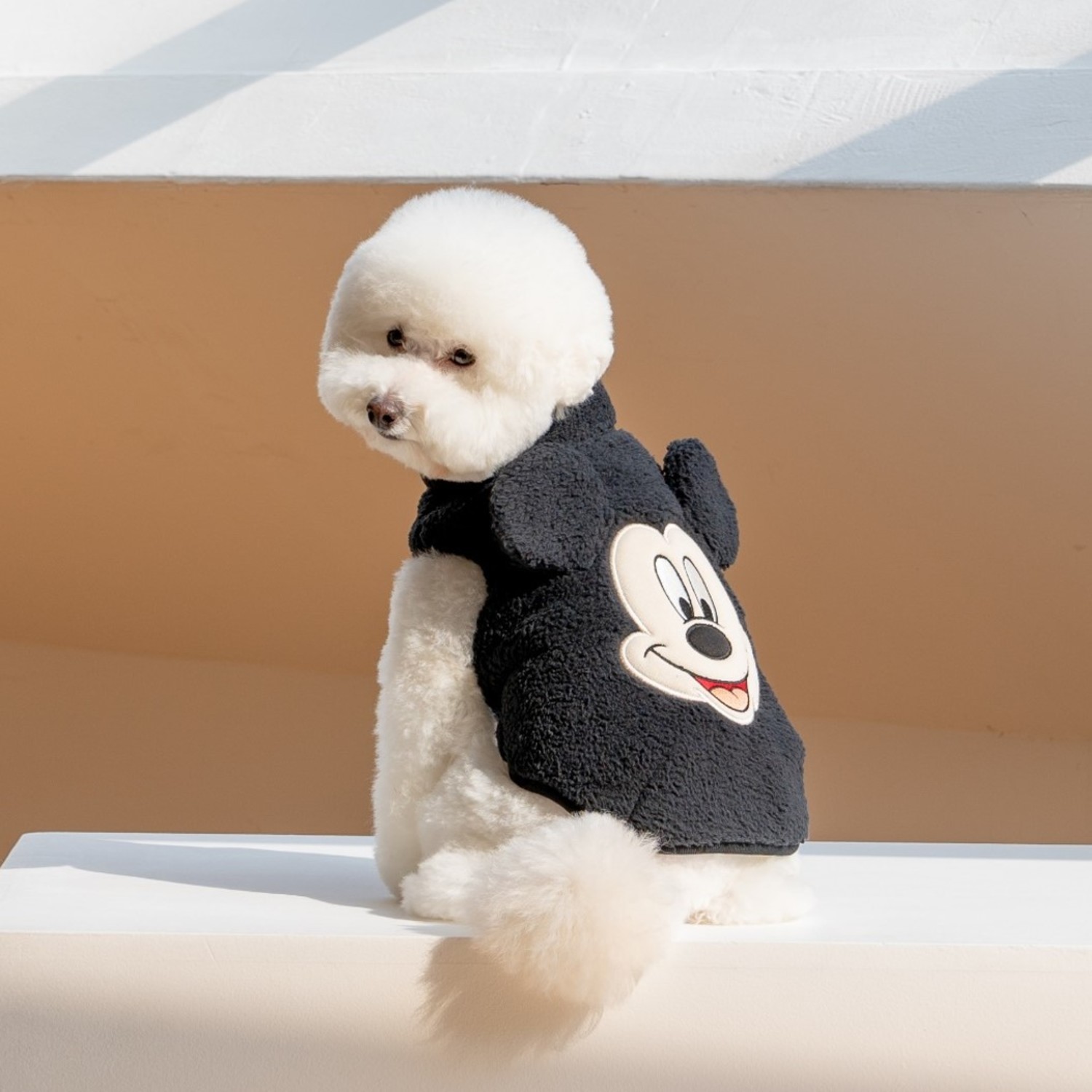 Dentist Appointment  Disney Friends 抓毛絨背心 (米奇Mickey)