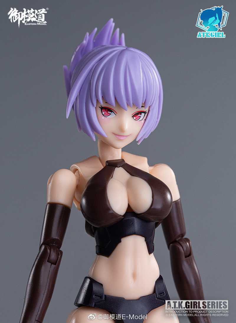 Help I've just got this Eastern Model 1/12 Scale Mecha atk Girl Body Model  kit I've built the bodies legs and arms but it came with parts that are  like clothes and