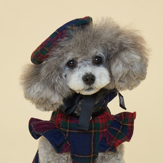 學院格紋貝雷帽-It’s sunny outside