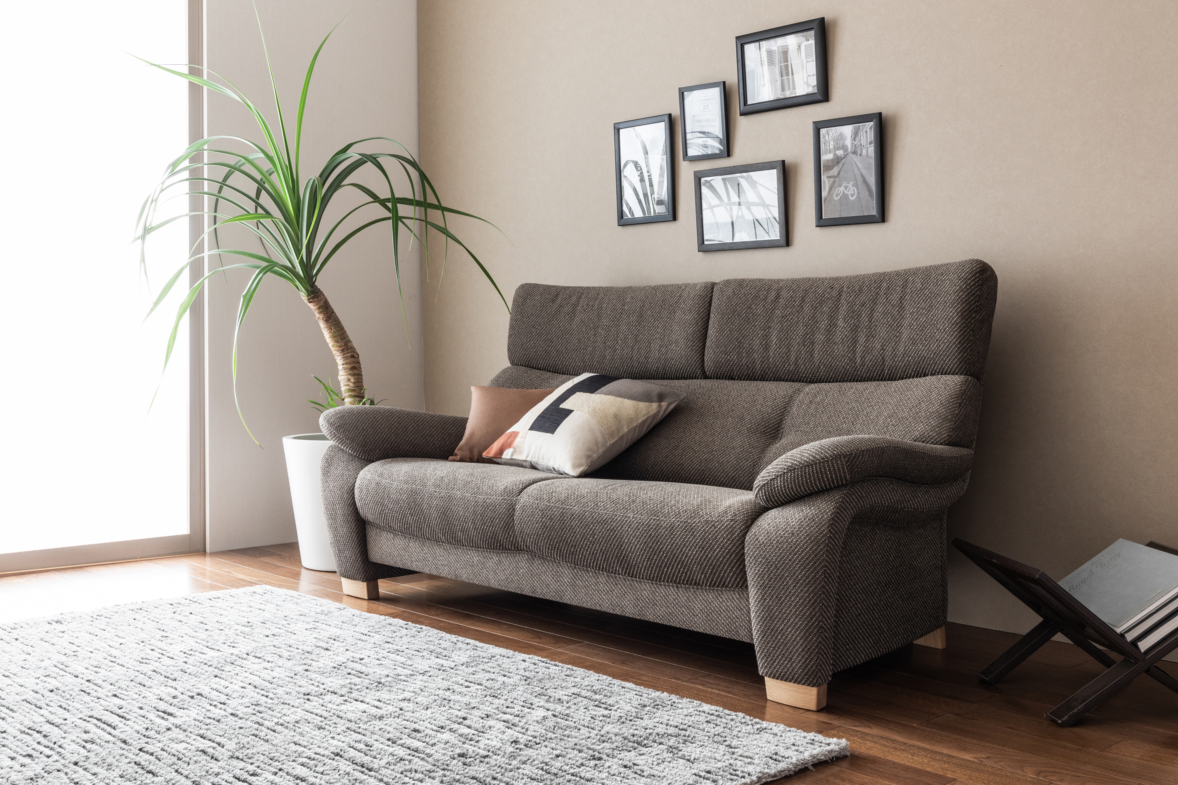 ZW73 雙人沙發 168cm