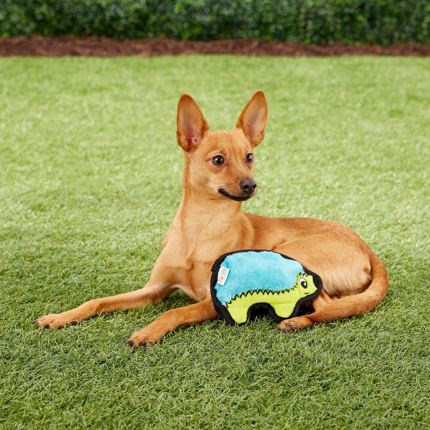 Outward Hound - 無敵刺猬