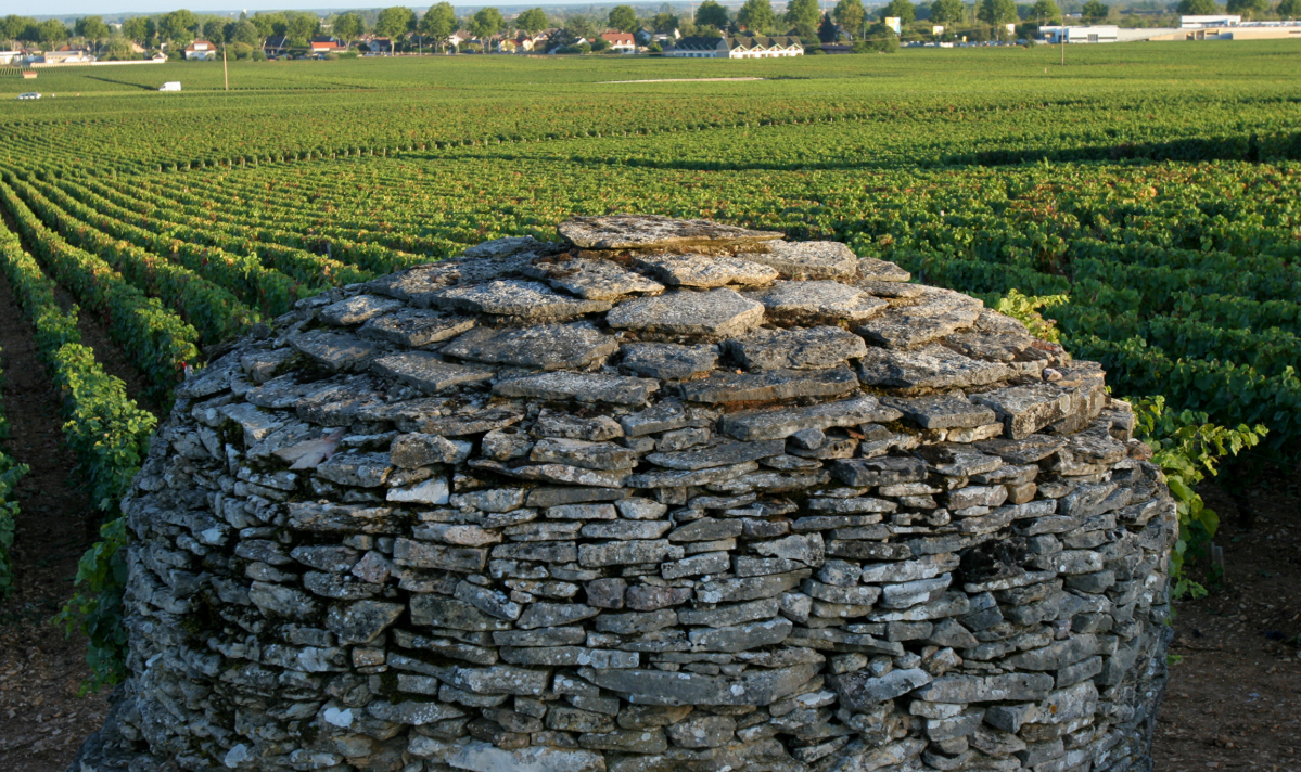 Beaune Premier Cru Clos des Ursules
