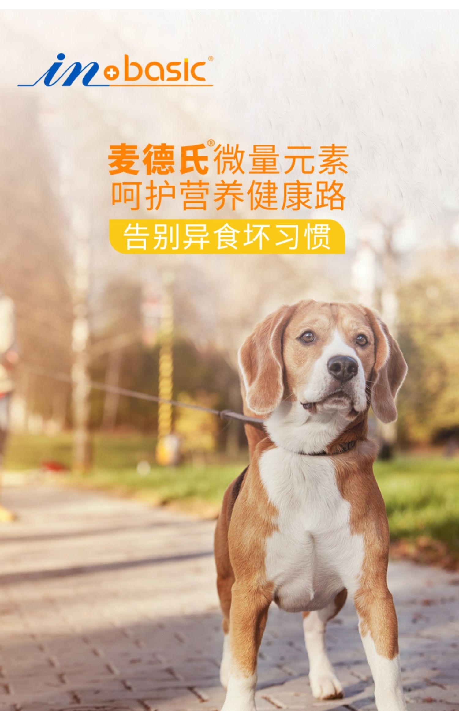 IN-PLUS微量元素片(改善狗狗吃大便的习惯）