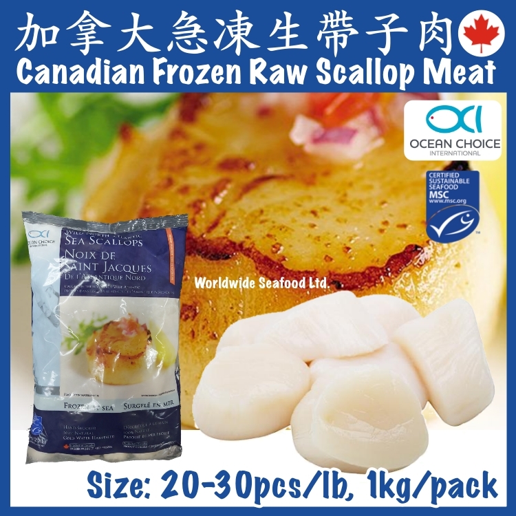 Frozen Canadian Raw Scallop Meat 20/30 pcs/lb I.Q.F.