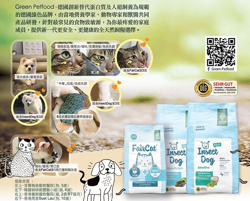 faircat,貓糧推薦,寵物,貓糧最好,貓糧ptt,蟲蟲糧,防敏感貓糧,貓糧,腸胃敏感貓糧,天然貓糧,cat food,pet,starpethk,starpet,starpet寵物,寵物用品