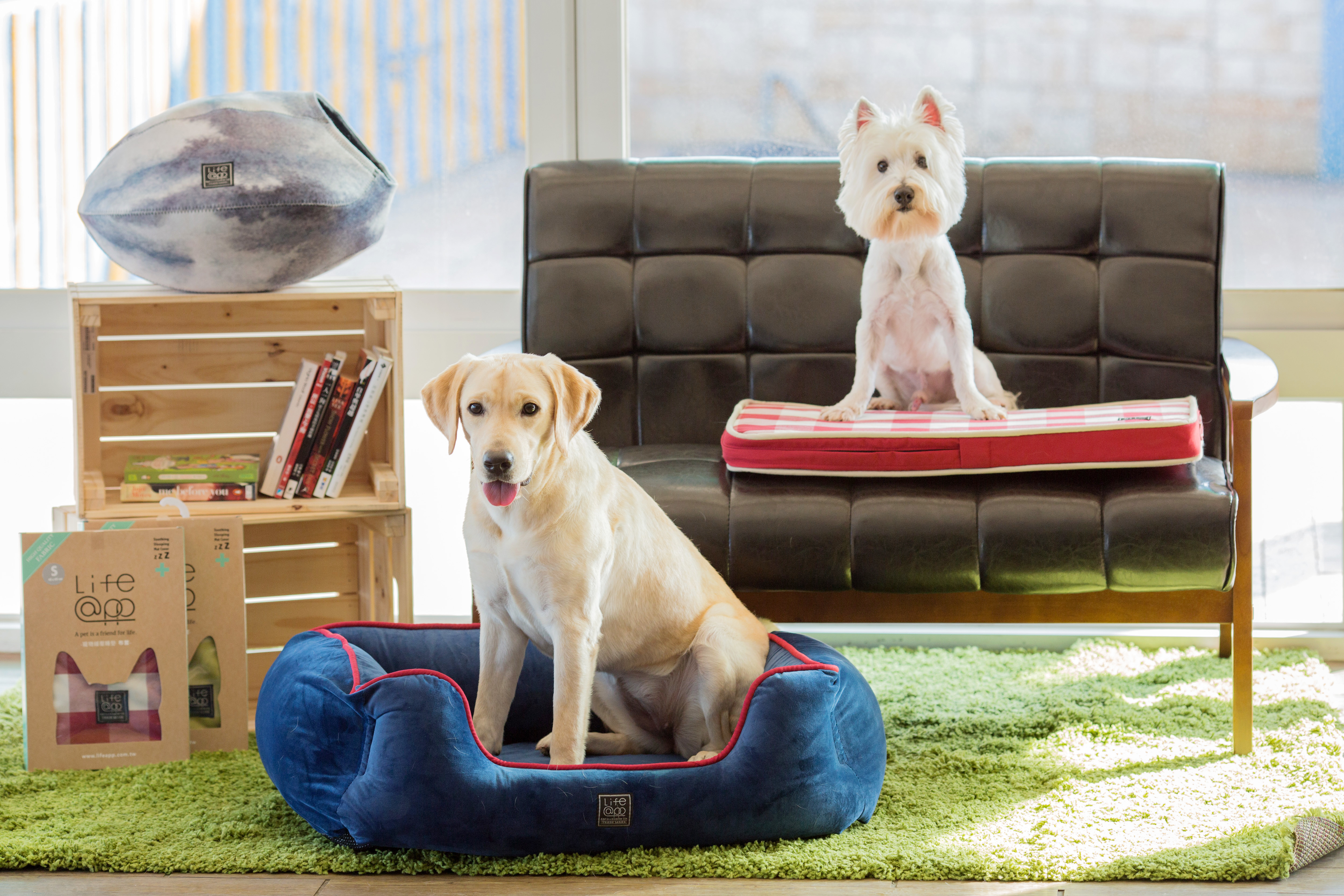 Lifeapp尊爵堡睡墊