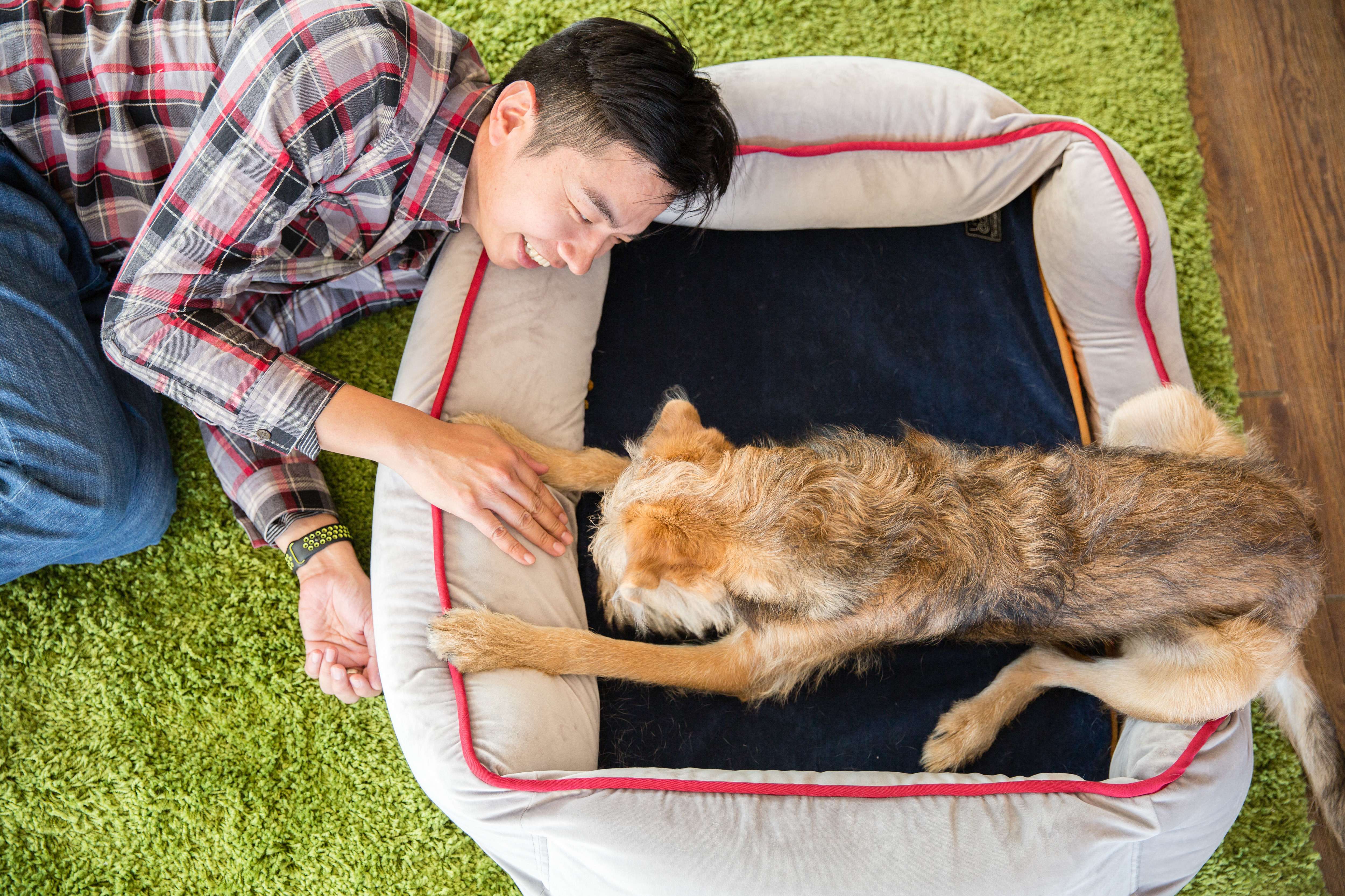 Lifeapp尊爵堡睡墊