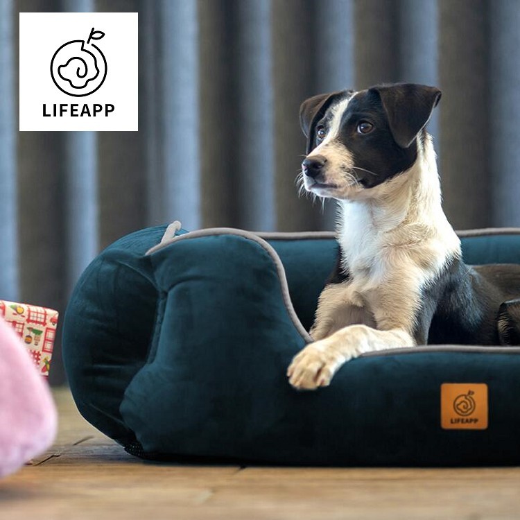 Lifeapp Luxury Bed Universal Blue