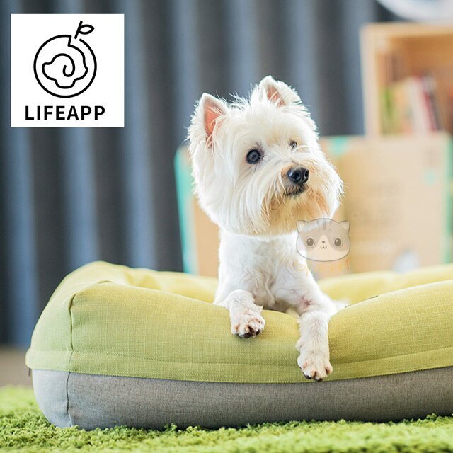 Lifeapp Air Bed Wasabi Green