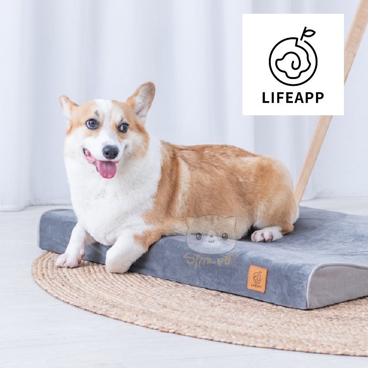 Lifeapp Lazy Bed Deep Gray