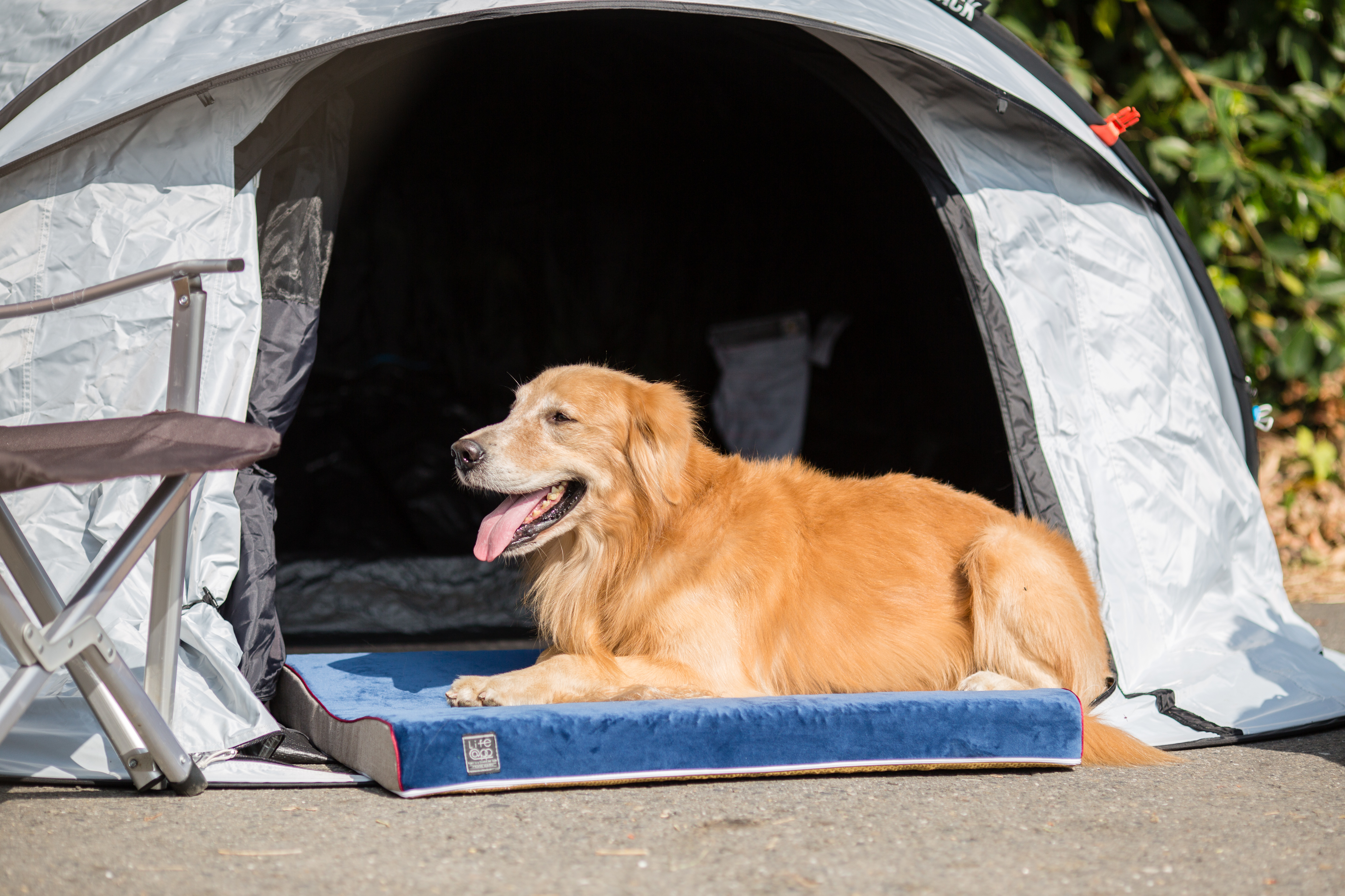 Lifeapp舒弧墊寵物緩壓睡墊