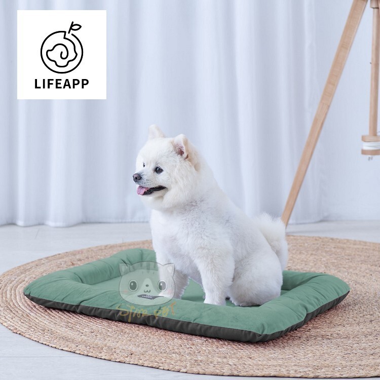 Lifeapp Mini Bed Green