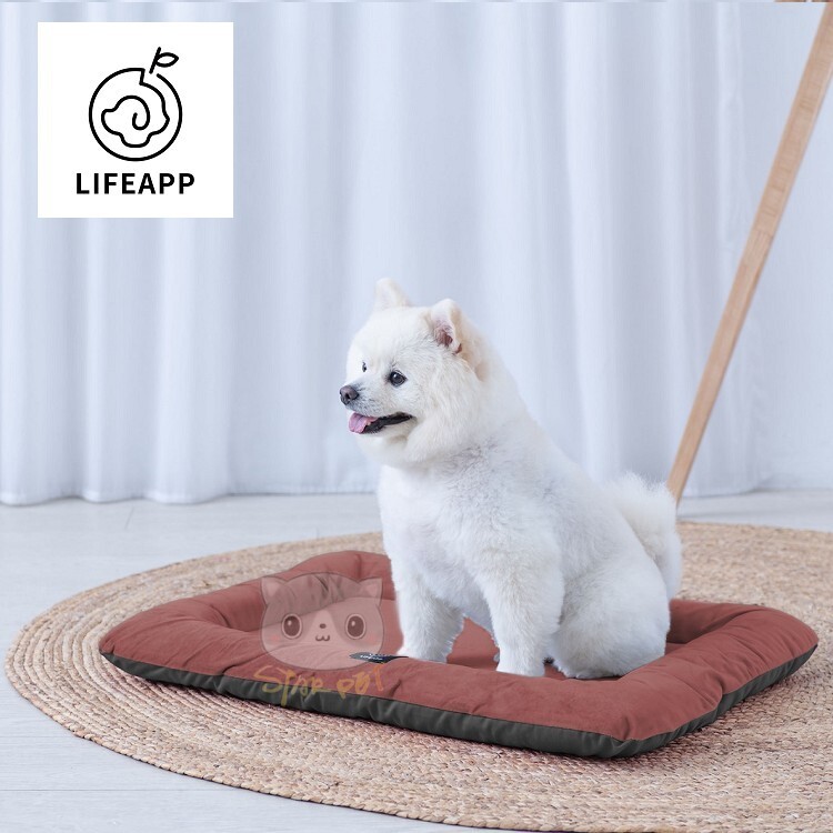 Lifeapp Mini Bed Green
