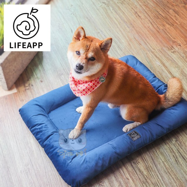 Lifeapp Mini Bed Red