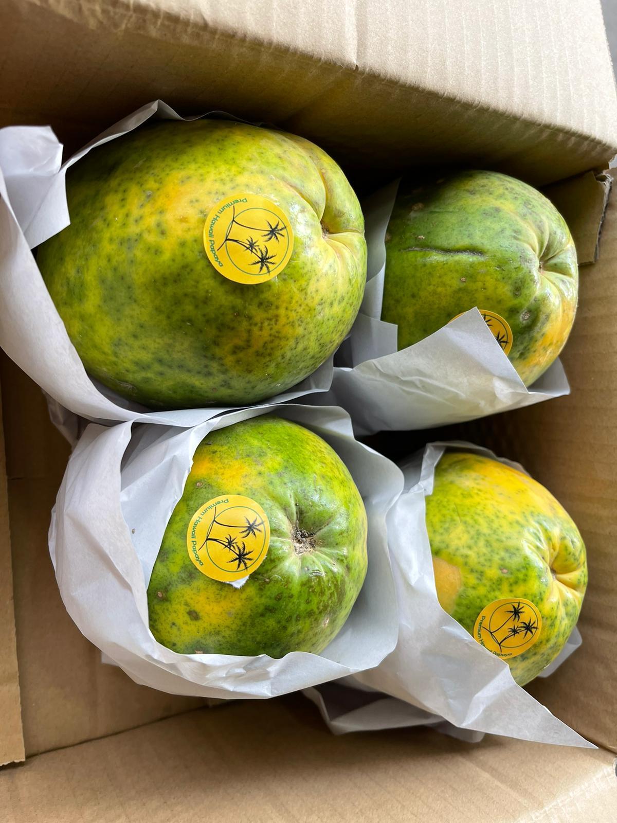 夏威夷樹上熟木瓜