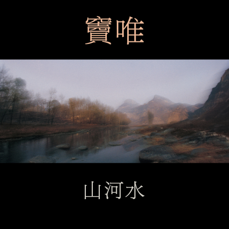 竇唯《山河水》（LP）