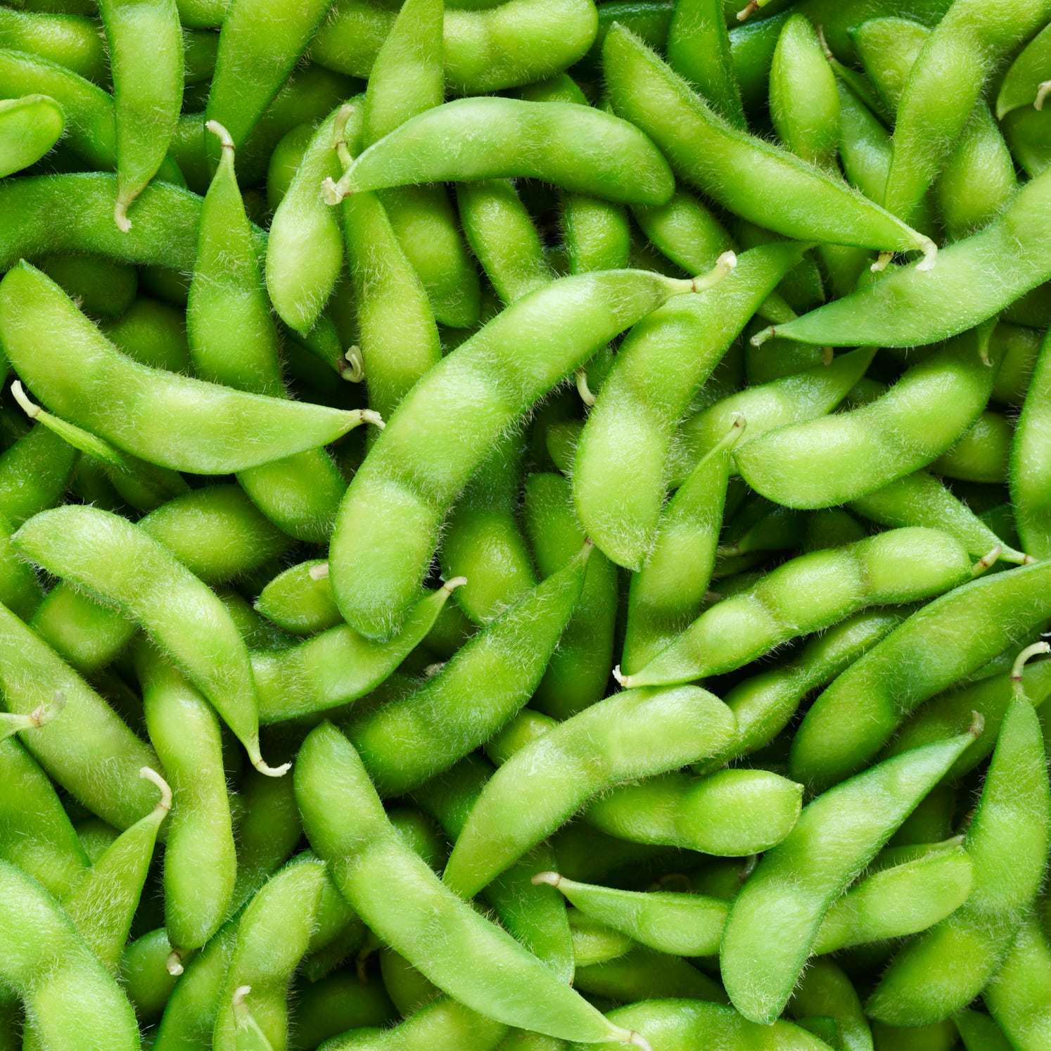 Edamame
