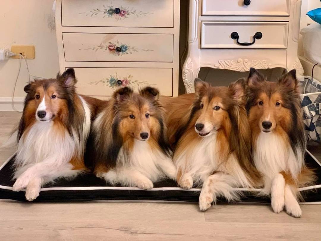 分享LIFEAPP透芯涼睡墊