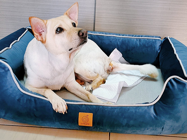 可成有人罩-LIFEAPP尊爵堡