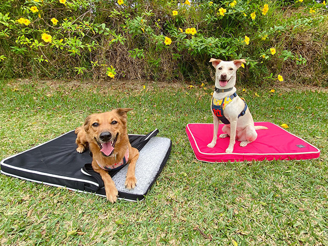 傲嬌Dora&固執Dolly-LIFEAPP經典透芯涼睡墊&經典絨布睡墊