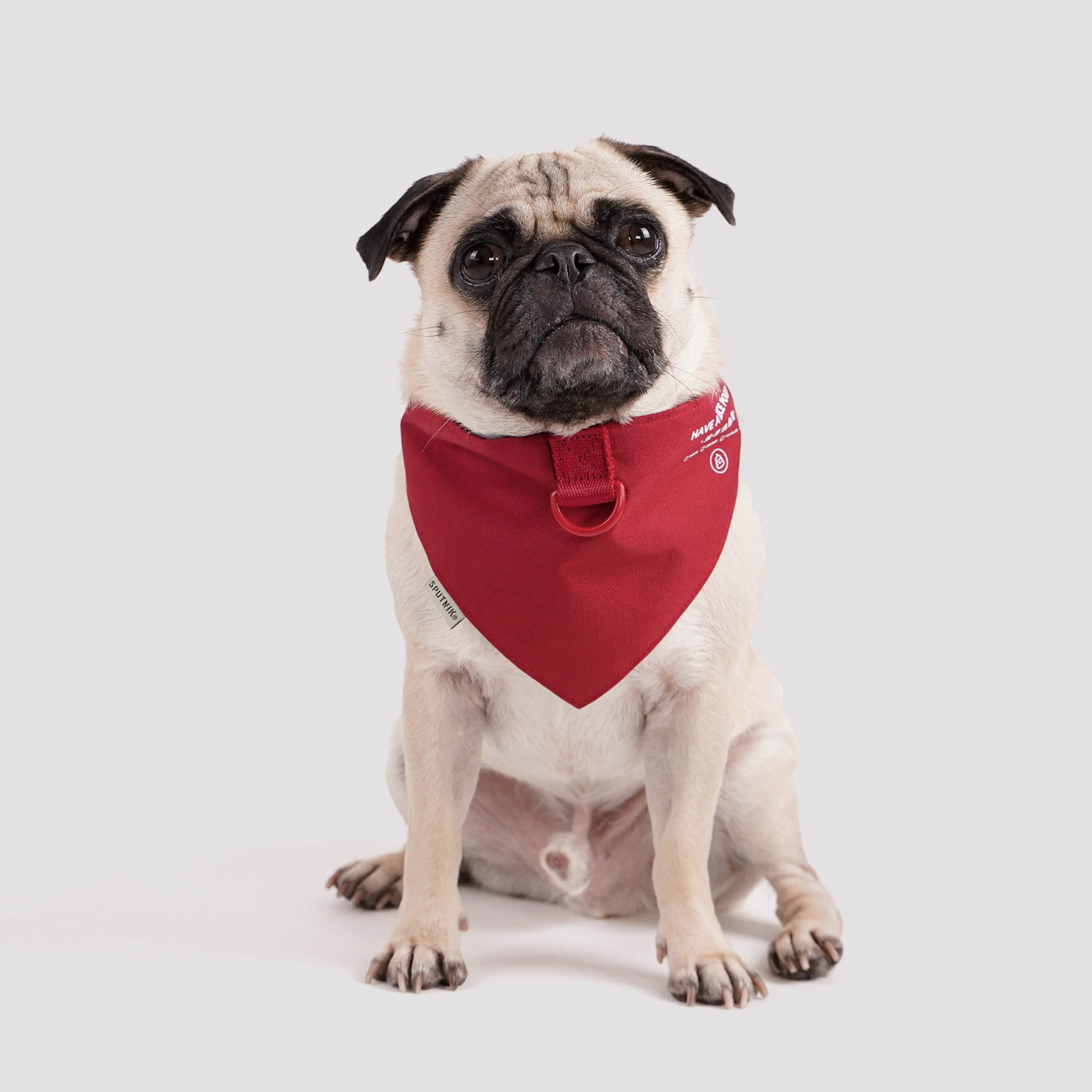 2020 Camp de Amigo 聯名︱寵物領巾 - 紅