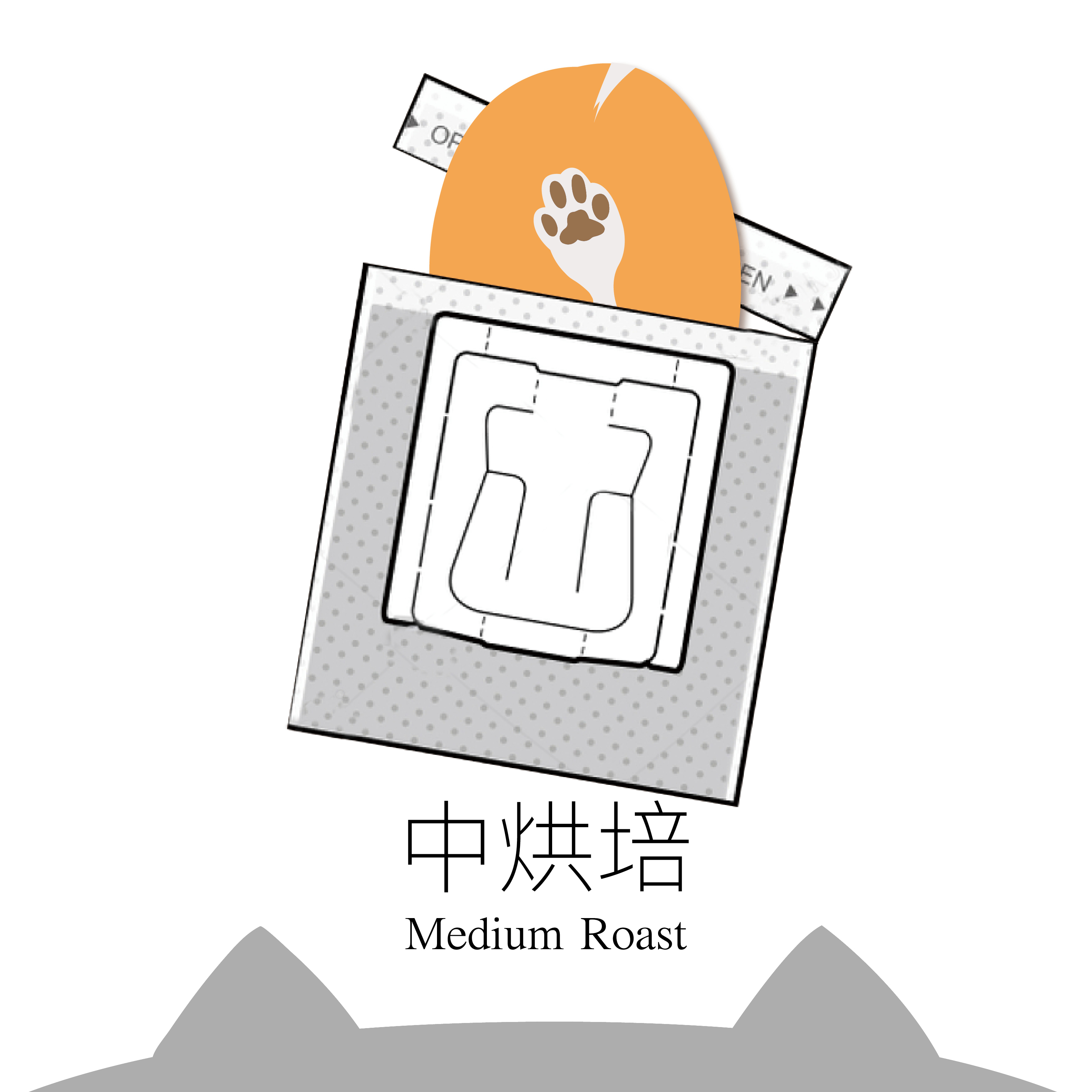 【掛耳10g】2019 WCE 世界盃烘豆大賽 冠軍 烘焙配方