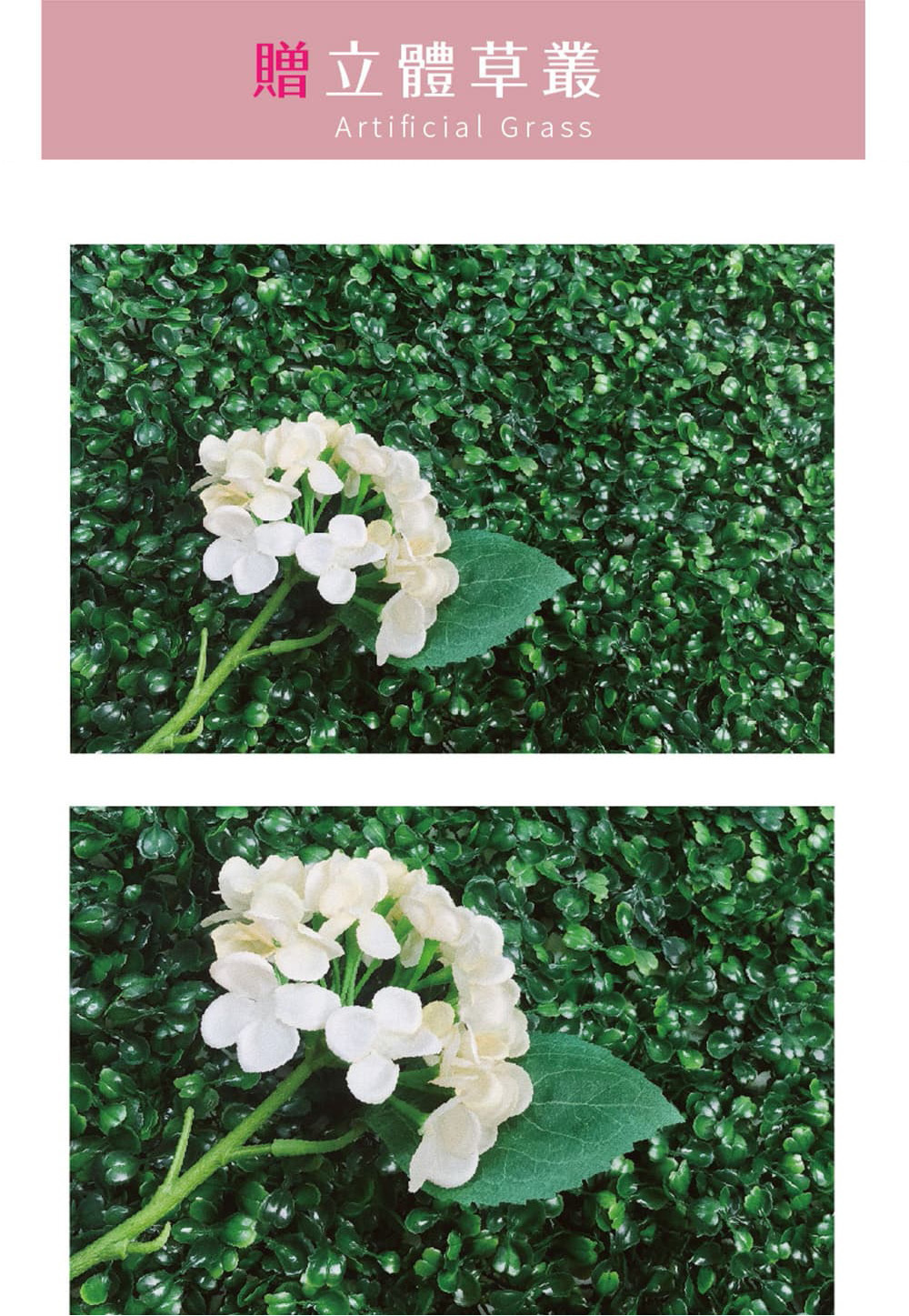 訂製感草皮，密度與厚度都是特別設計，每一株都有小葉片，絕對怎麼拍都好看