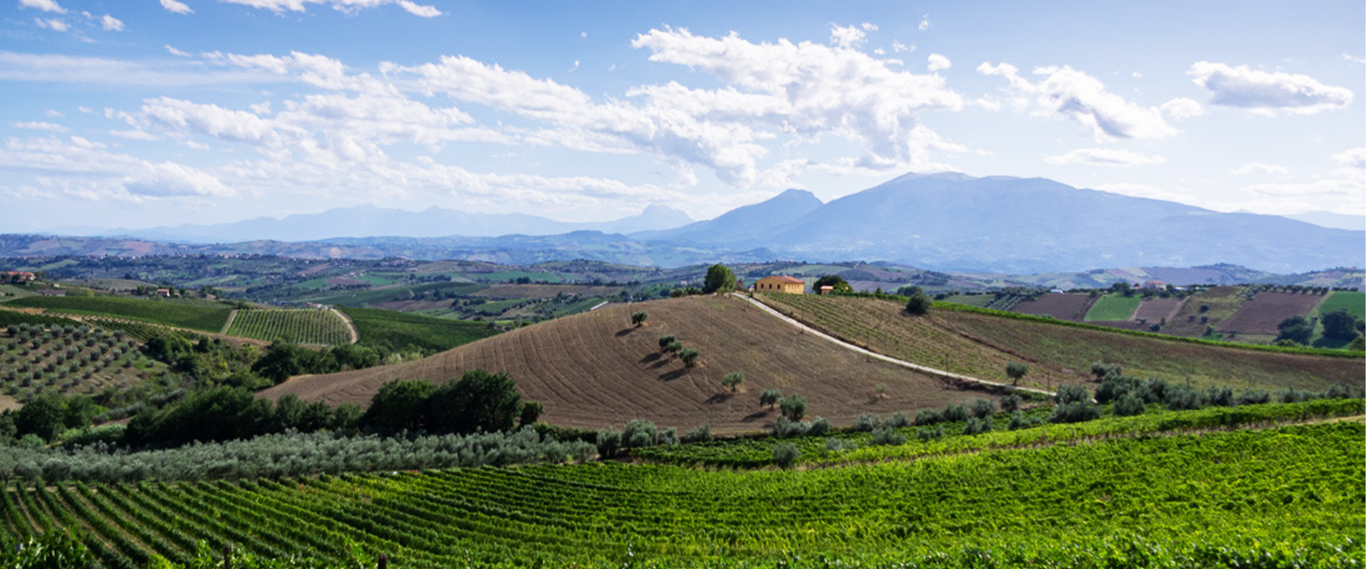 Cellar La torre del nano 01