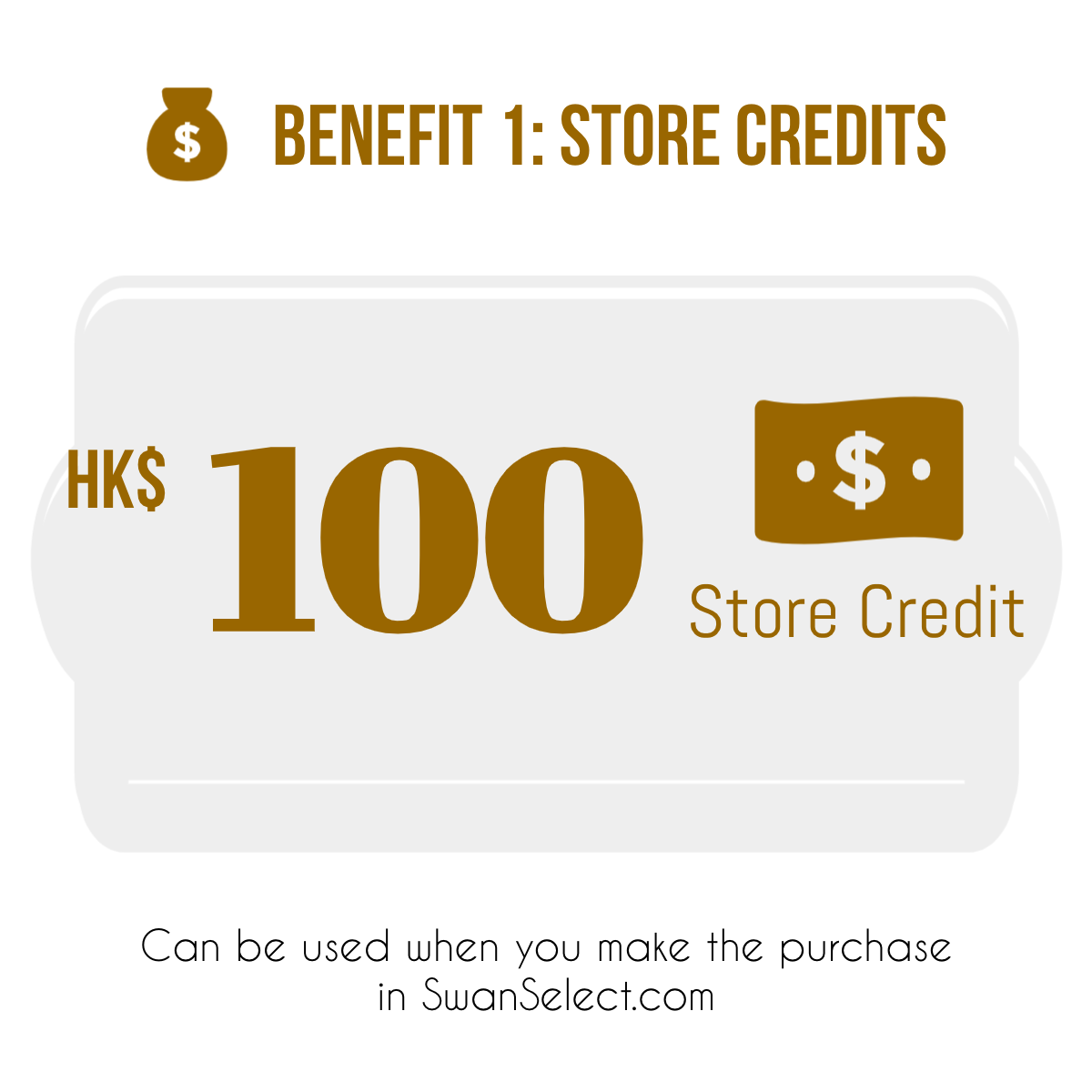 SwanSelect New Sign Up $100 Store Credit