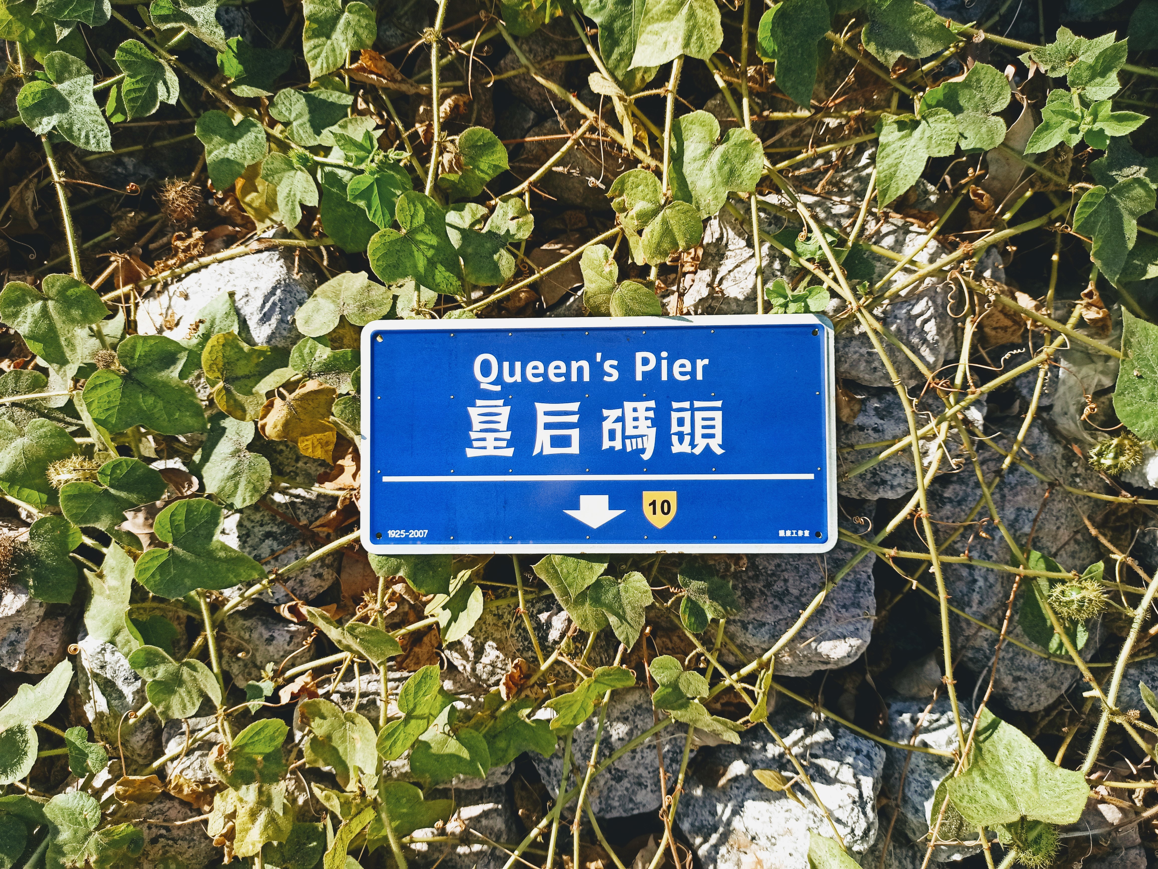 ArtIP_S01 - 皇后碼頭 香港路牌