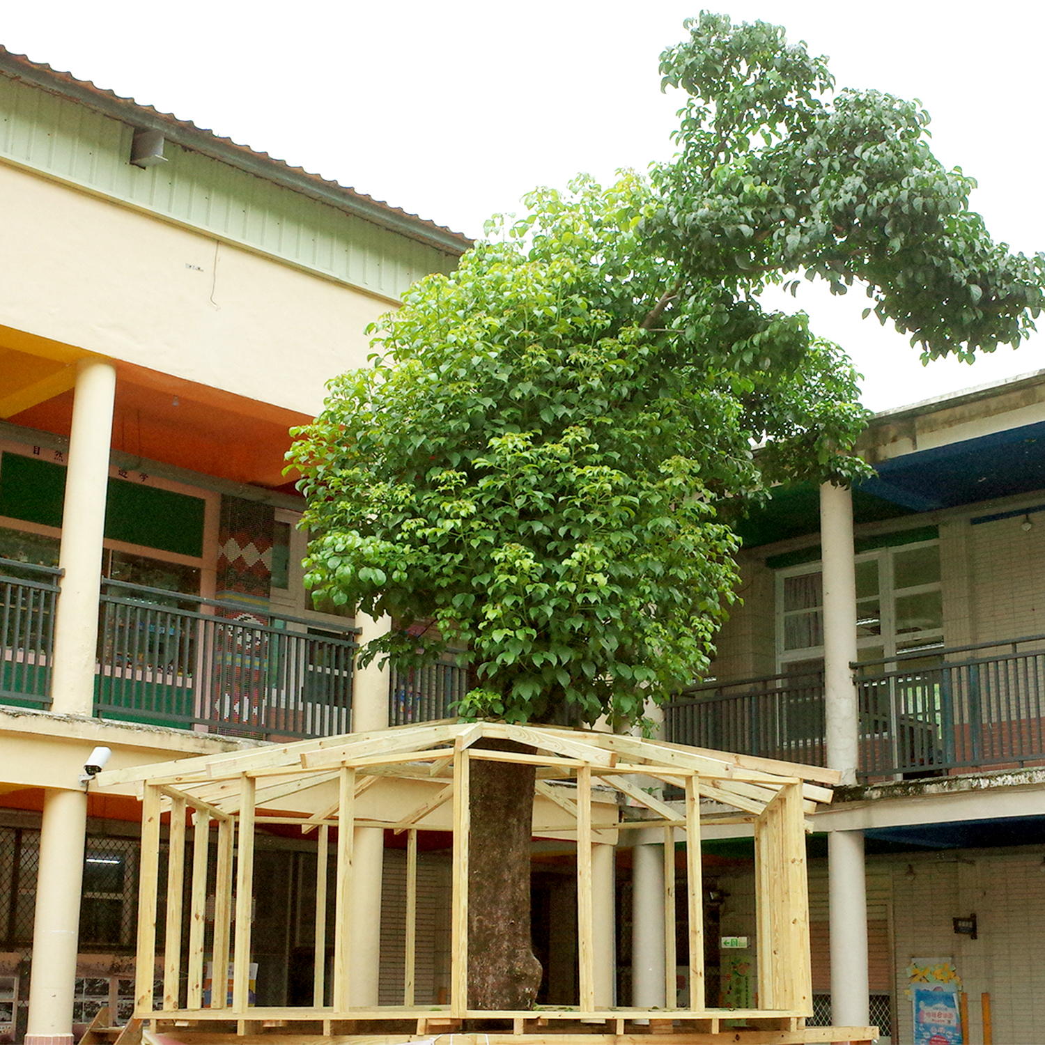 南庄國小學童搭建夢想樹屋計畫 ,南庄國小校長,日智衡