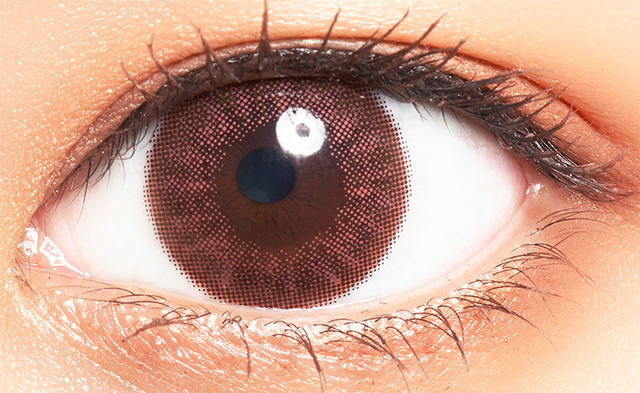 Colors1d 1day Color Contact Lens 日本Colors每日即棄有色隱形眼鏡 10片(Natural Warm Brown)